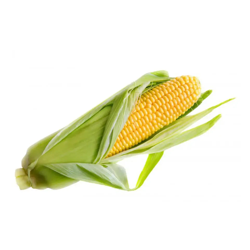 Wapiti Multi vitamin 45 tabletten