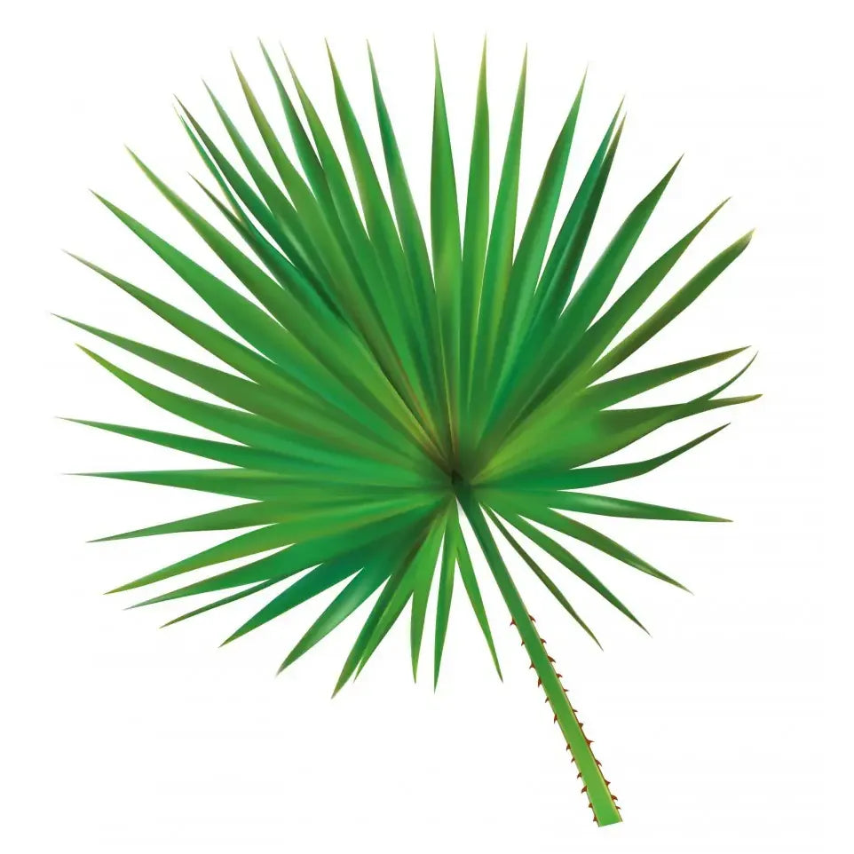 Wapiti prostaatfit 60 capsules