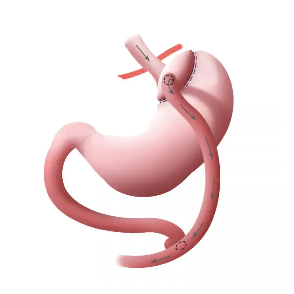 Wapiti Speciaal multivitamine 60 capsules