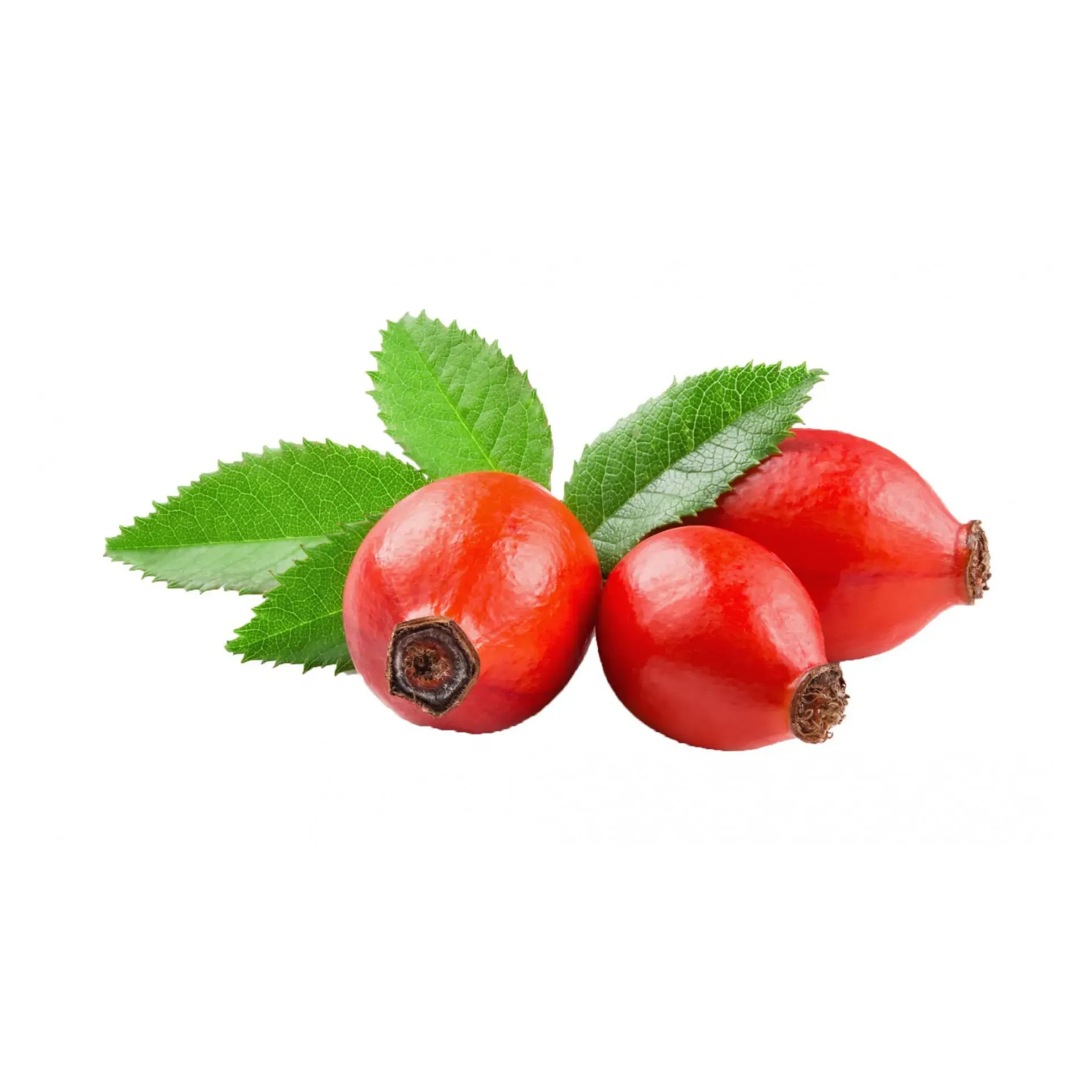 Wapiti Vitamine C plus 1000 mg 45 tabletten