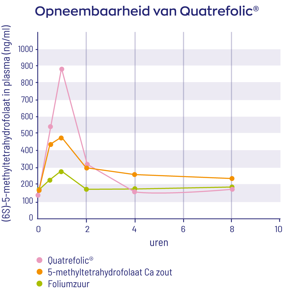 B12 vitakruid