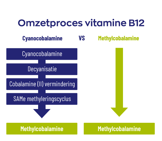 Vitakruid B12