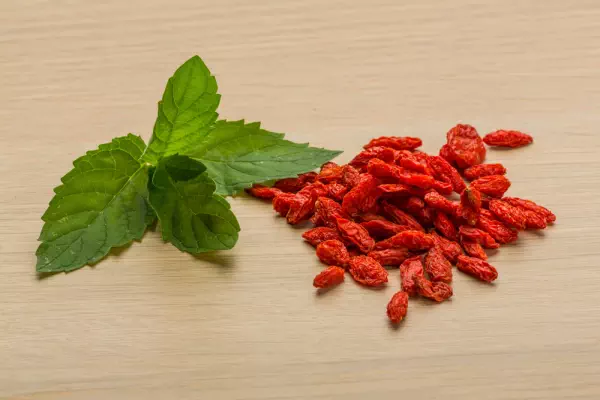 berberine supplement