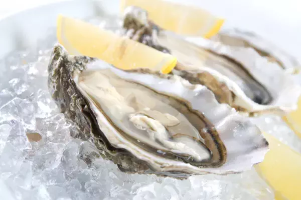 ijzer oesters