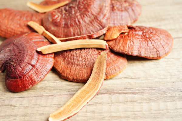 reishi adaptogenen