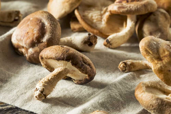 Wat is shiitake en hoe maak je shiitake klaar?